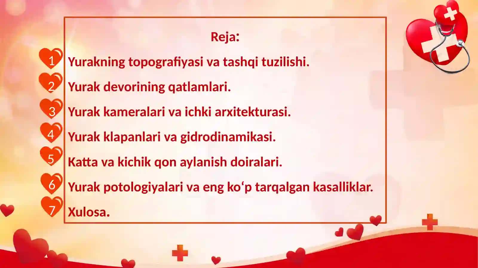 Yurakning tuzilishi va faoliyati 2