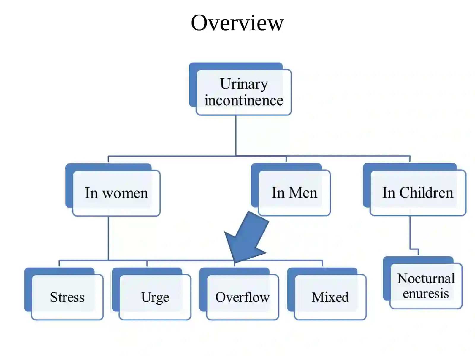 Urinary Incontinence 2