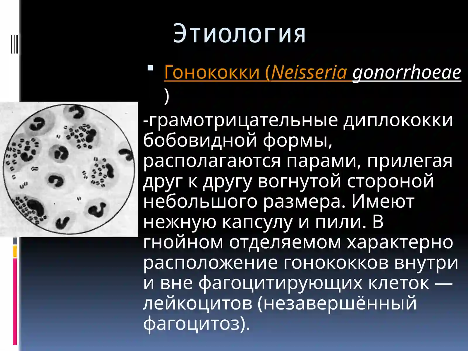 Гонорея 2