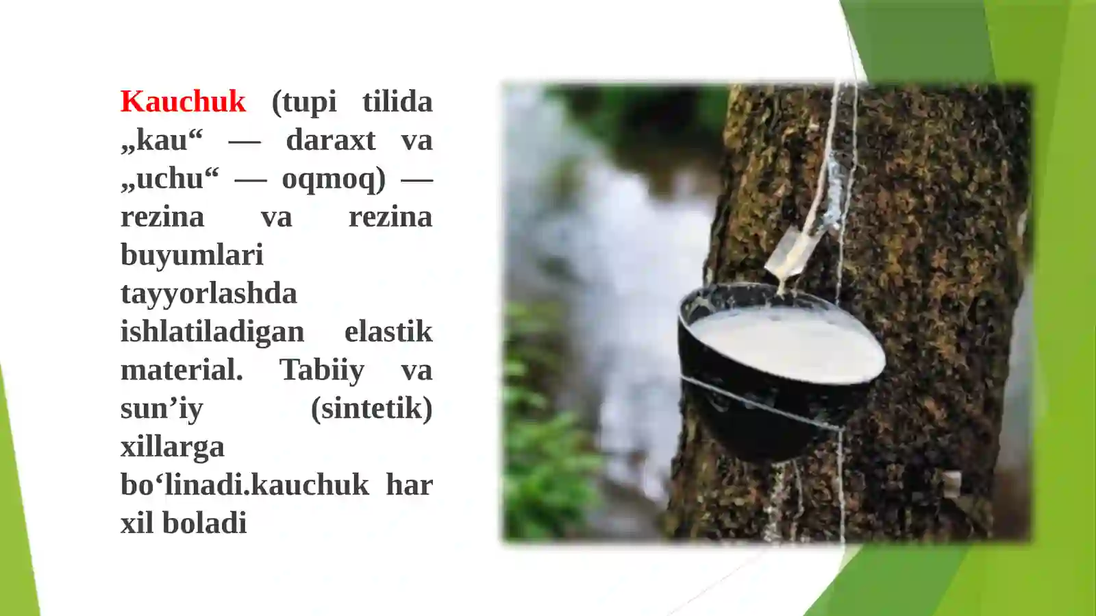 Kauchuk va rezina 2