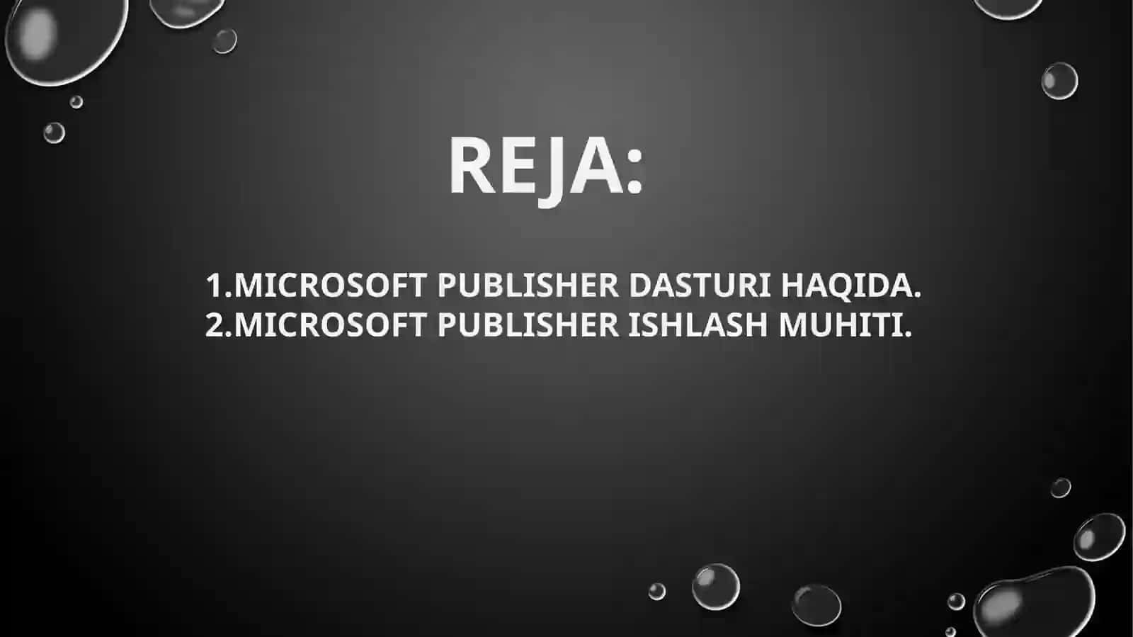 Microsoft Publisher 2