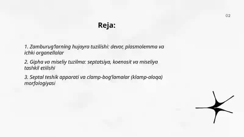 Zamburugʻlar. Ularning morfologiyasi, strukturasi va ularni oʻrganish usullari 2