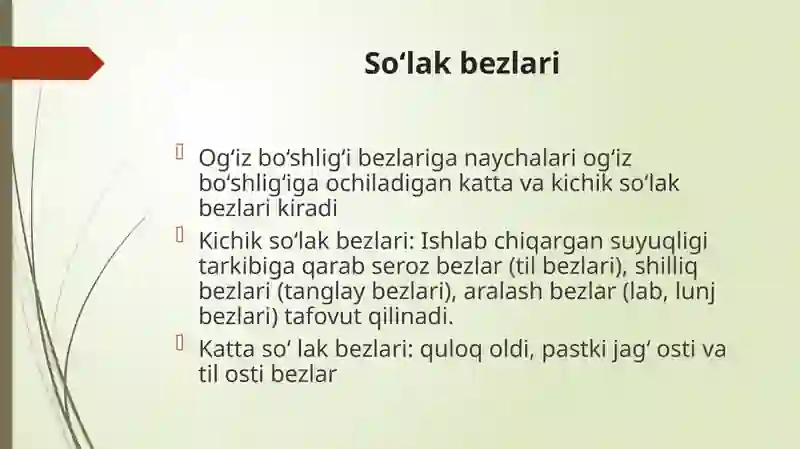 So’lak bezlari 2