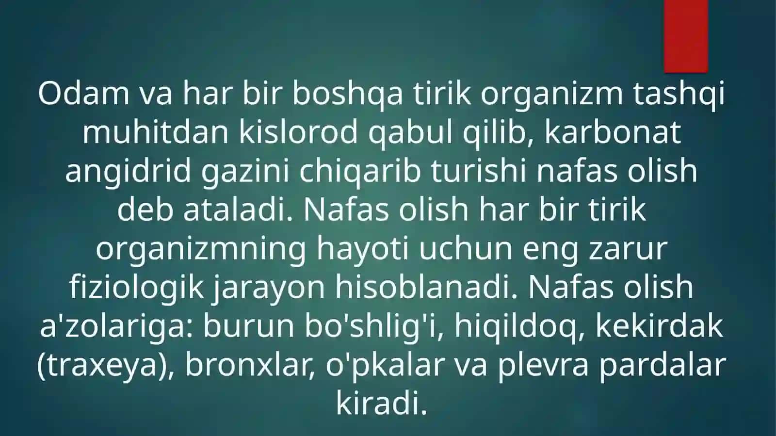 BOLALARDA O'RTA VA PASTKI NAFAS YO'LLARINING ANATOMO-FIZIOLOGIK XUSUSIYATLARI 2