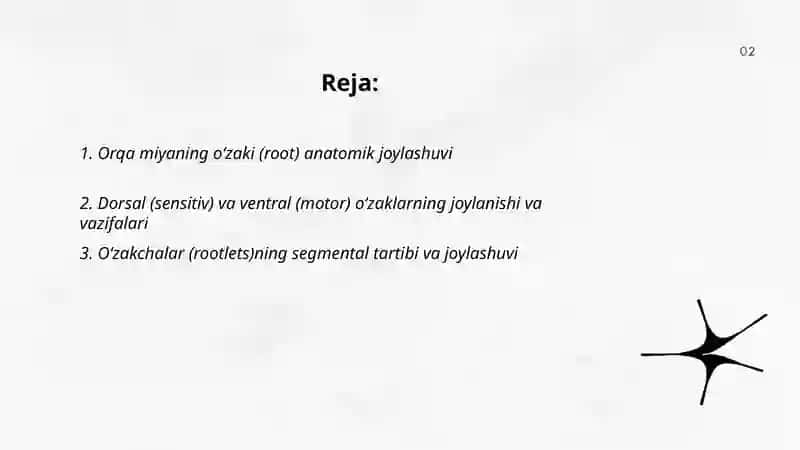 Orqa miyaning òzaklarining joylashuvi va ularning ahamiyati 2