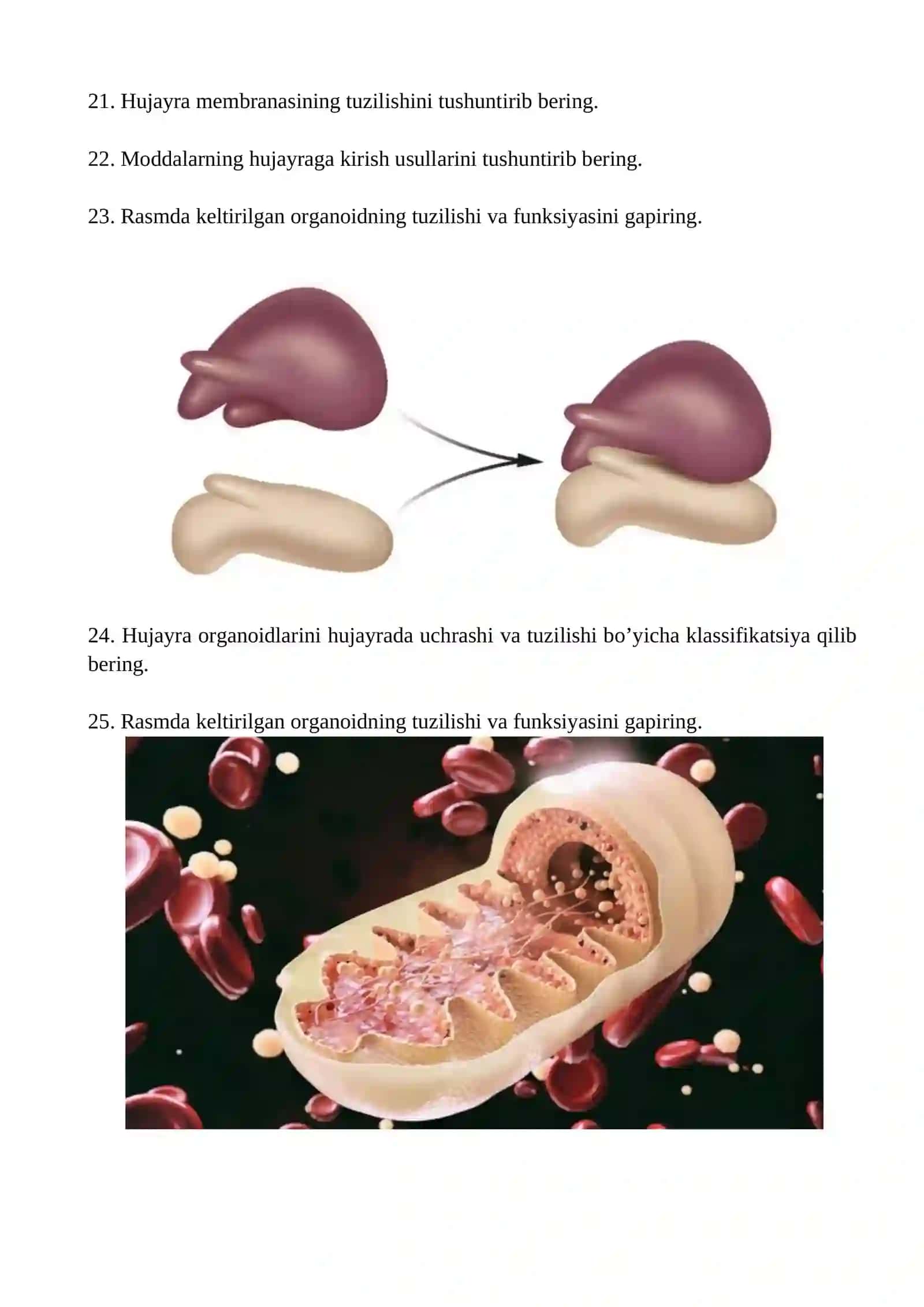 ibn Sinoning tibbiyotga qo’shgan hissalarini gapirib bering 2