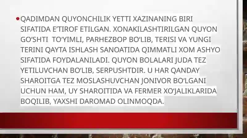 Quyonchilik biznesi 2