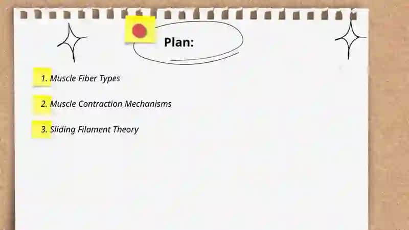 Muscular physiology 2