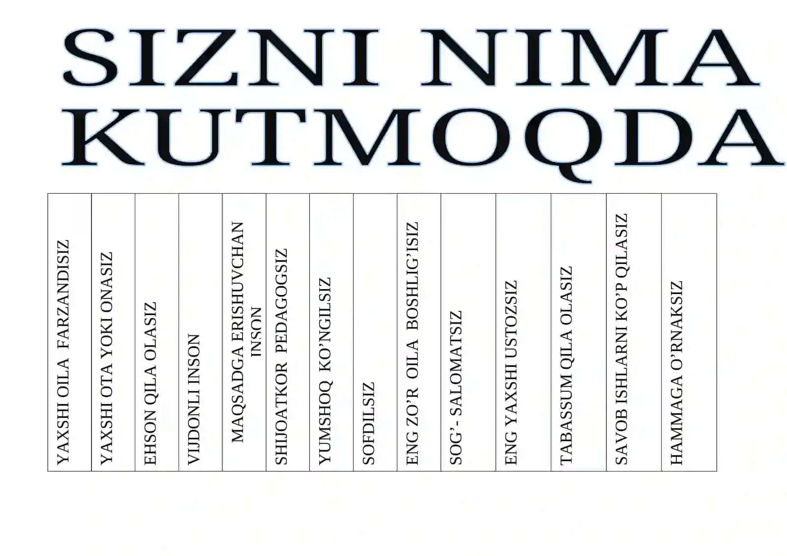 VIJDONLI INSON 2