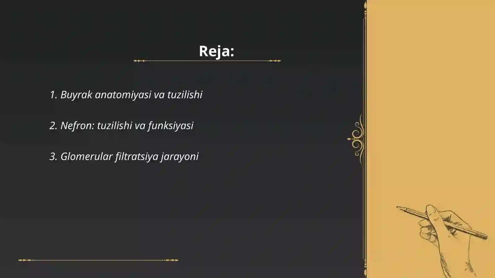 Buyrak anatomiyasi va tuzilishi 2