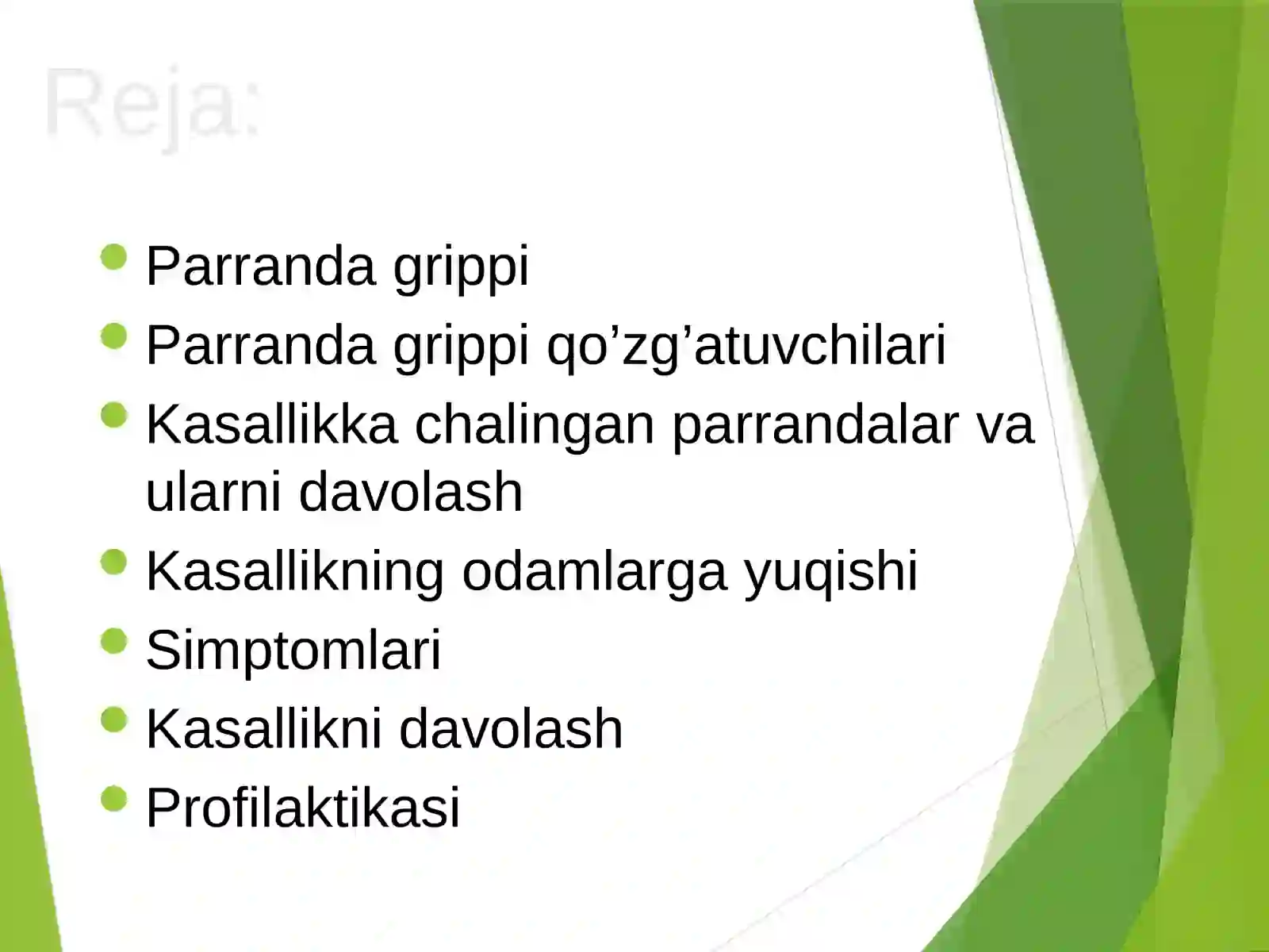 PARRANDA VA CHO’CHQA GRIPPI 2