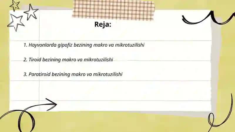 Hayvonlarda endokrin bezlarning makro va mikrotuzilishi 2