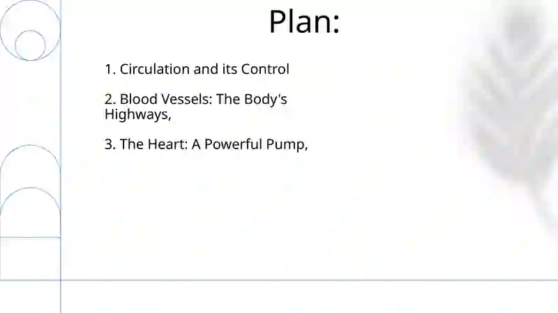 Heart and a vascular system 2