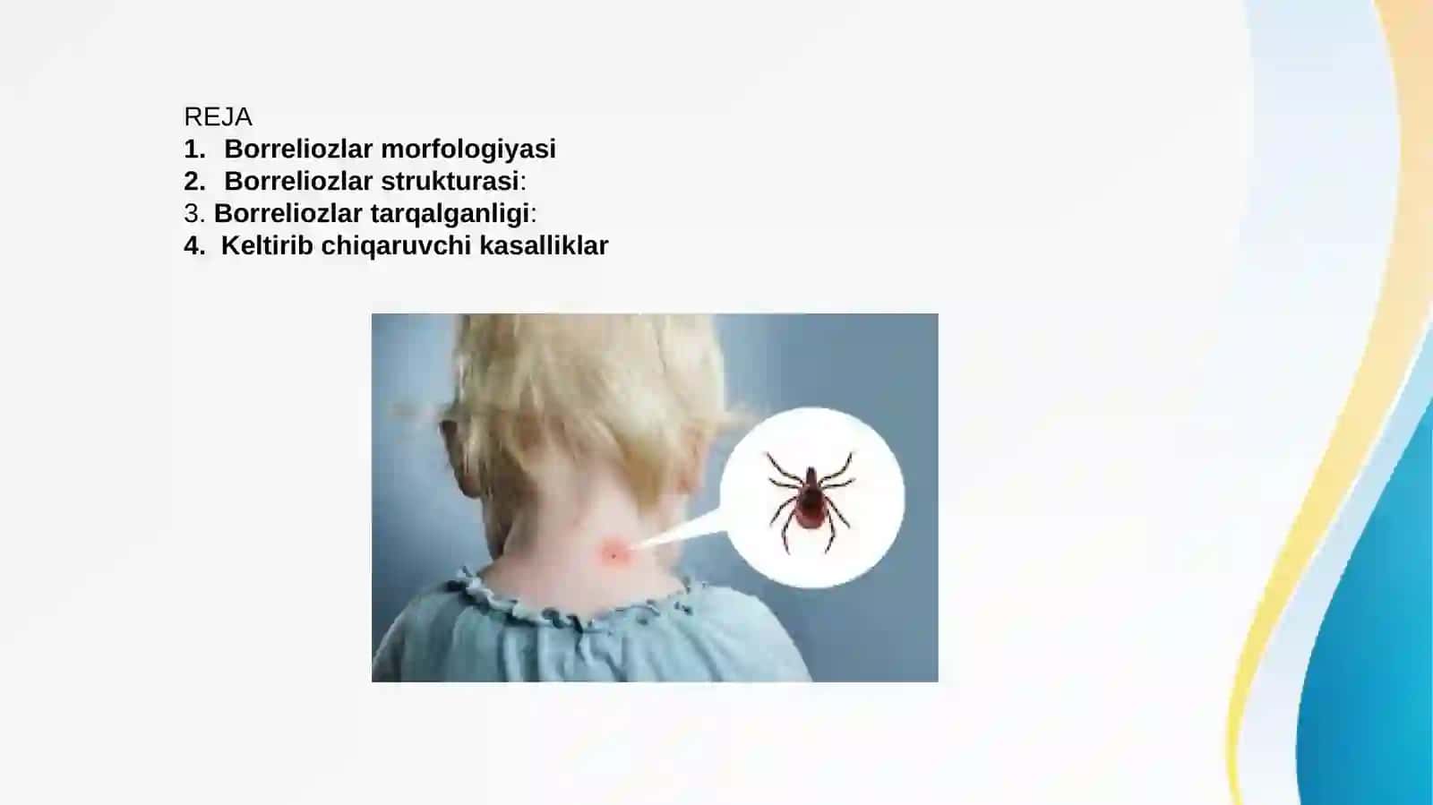 Borreliozlar morfologiyasi strukturasi Tarqalganligi keltirib chiqaruvchi kasalliklari mavzusida tayyorlagan haqida to'liq ma'lumot 2