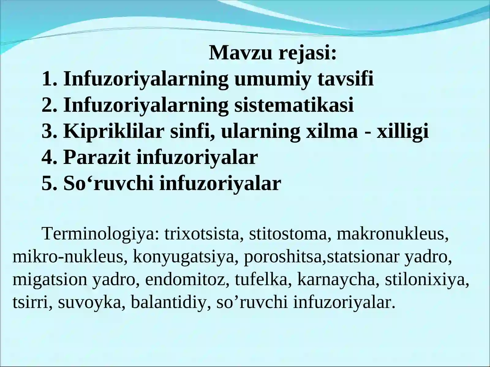 Infuzoriyalar tipi 2
