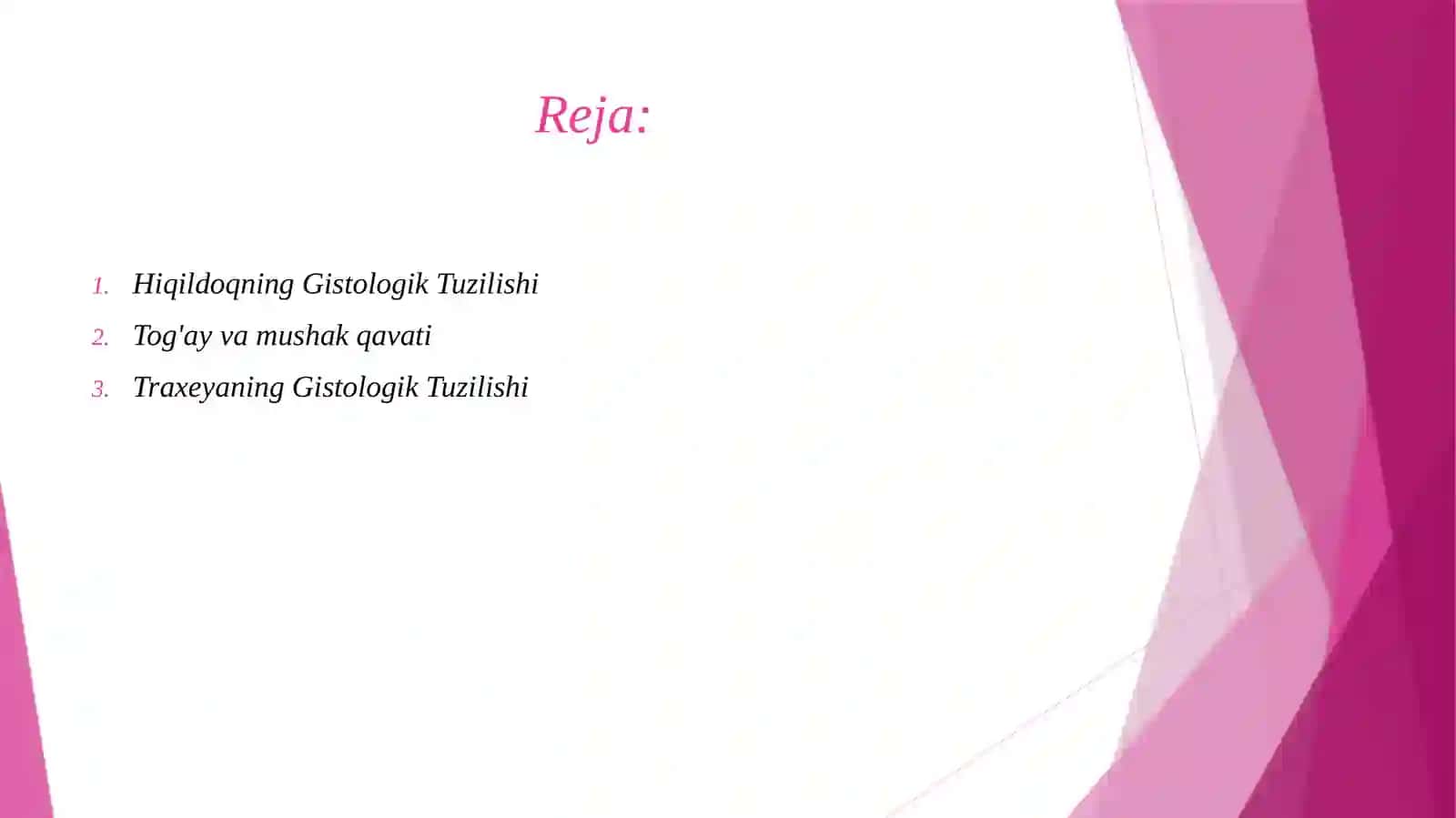 Hiqildoq traxeya gistologik tuzilishi 2