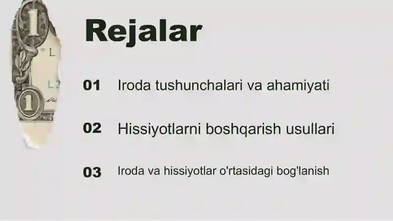 Iroda va hissiyot 2