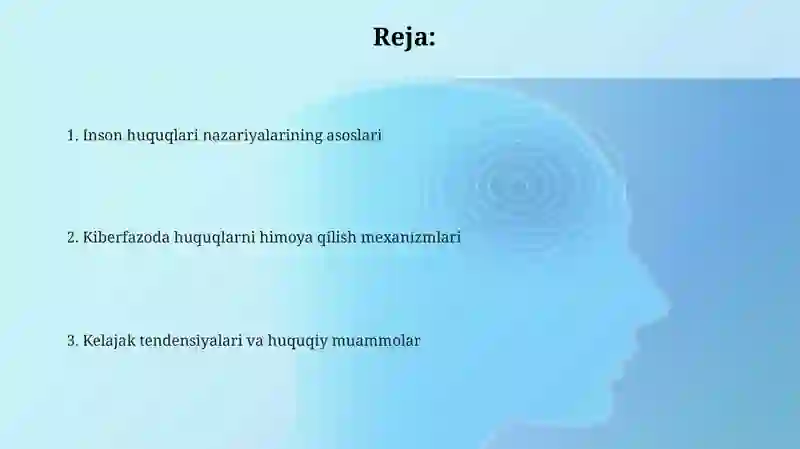 Kibermakonda inson huquqlarining nazariy asoslari 2