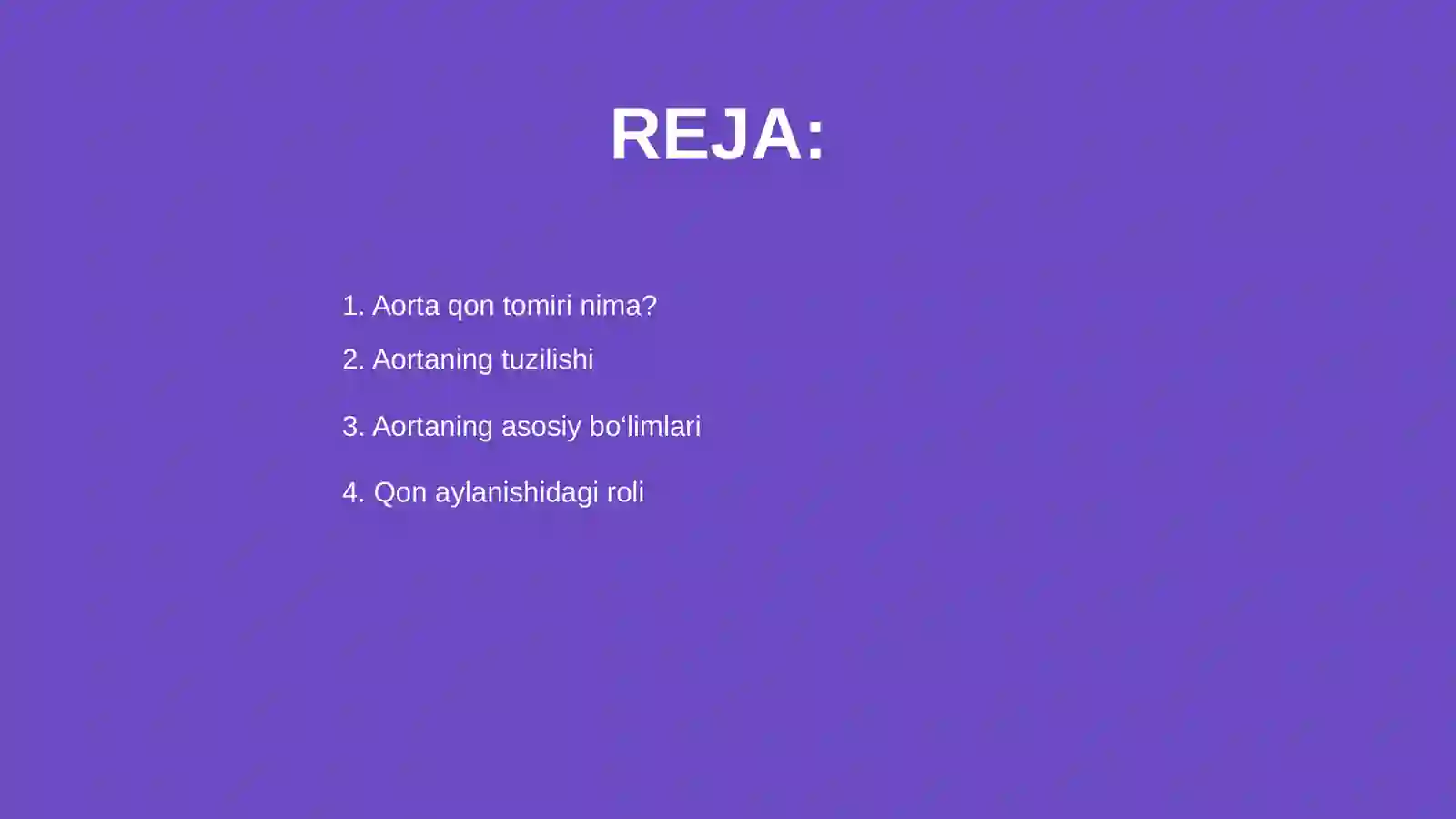 Aorta qon tomiri 2