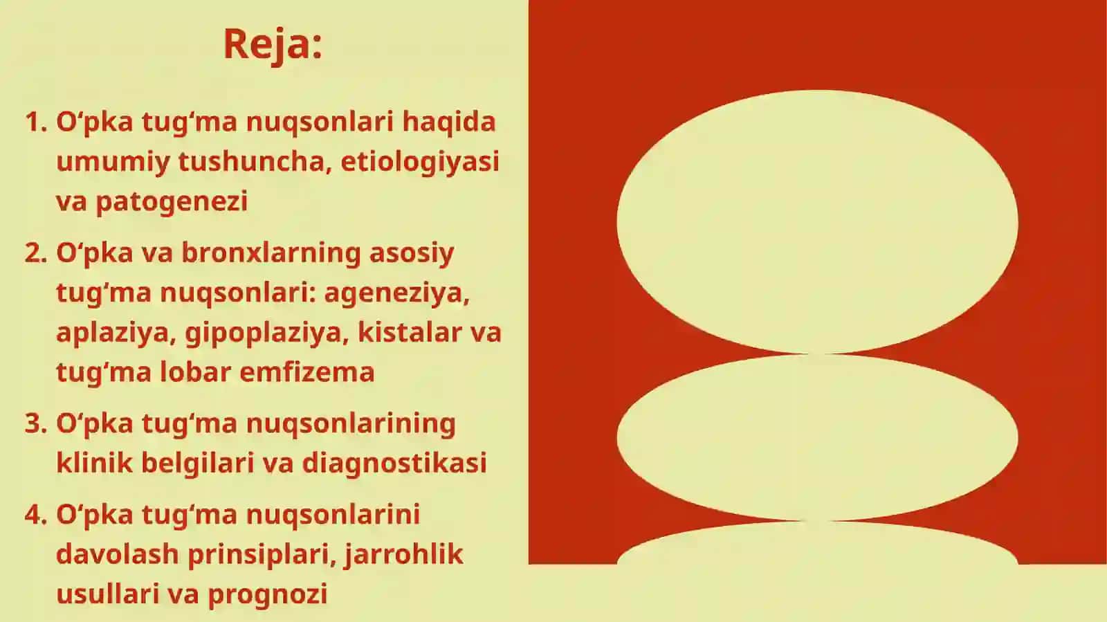 O‘pka tug‘ma nuqsonlari 2