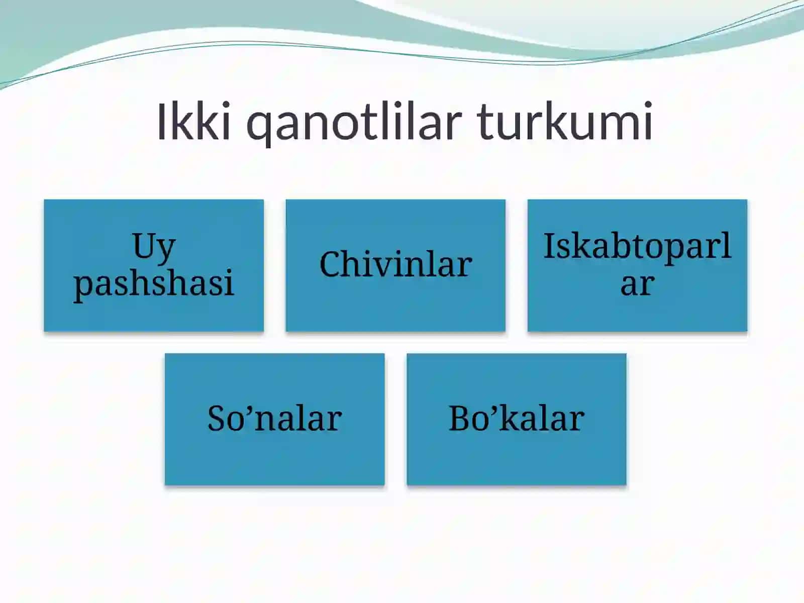 Ikkiqanotlilarturkumi 2