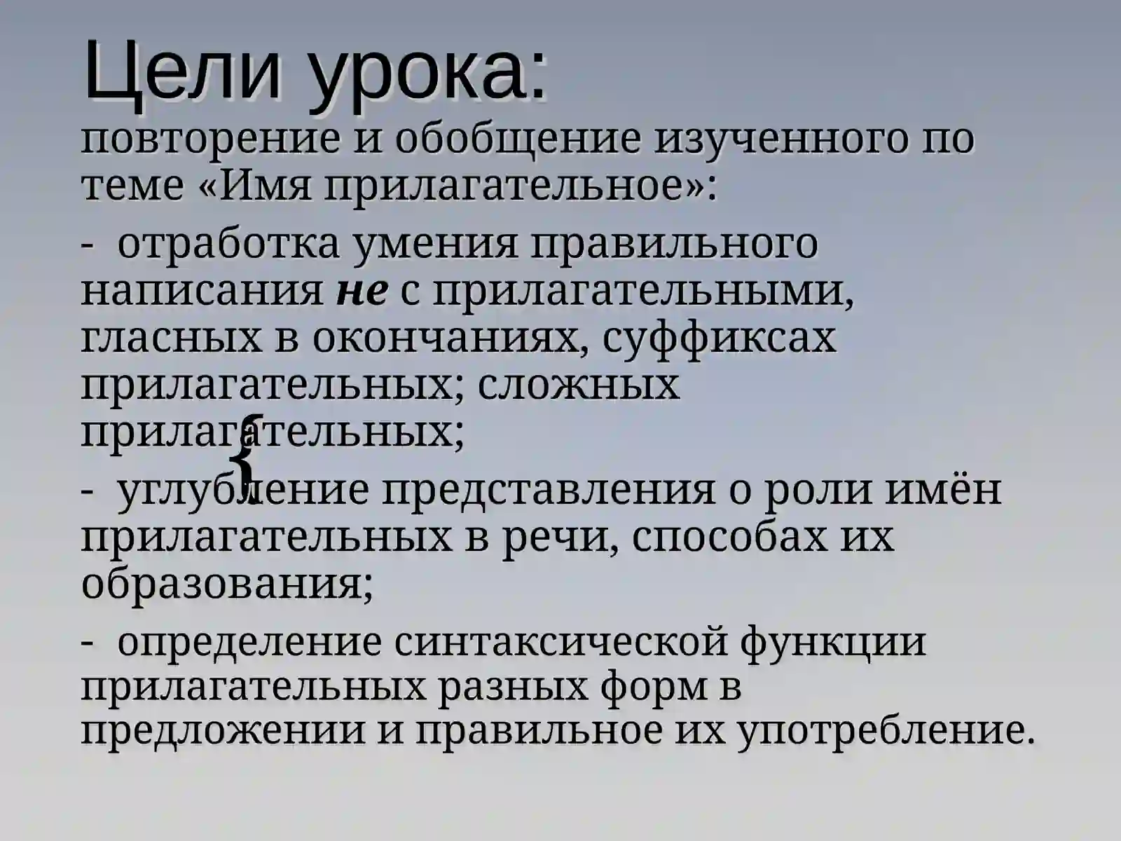 Имя прилагательное 2