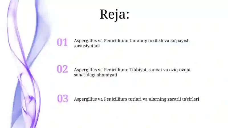 Aspergillus va Penicill (Penicillium) ning tuzilishi va ko‘payishi 2