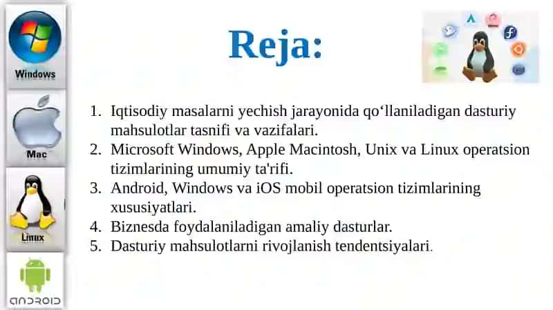 Iqtisodiyotda foydalaniladigan dasturiy mahsulotlar 2
