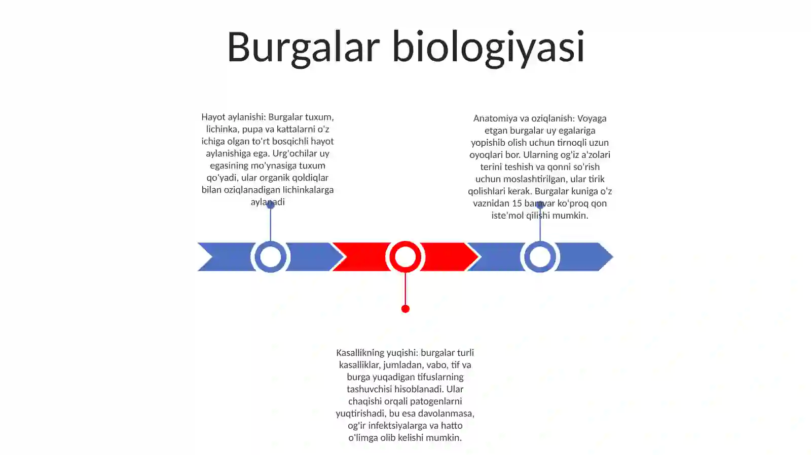 Burgalar biologiyasi 2