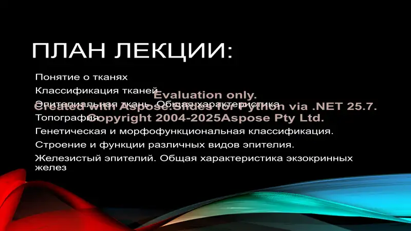 ЭПИТЕЛИАЛЬНЫЕ ТКАНИ 2