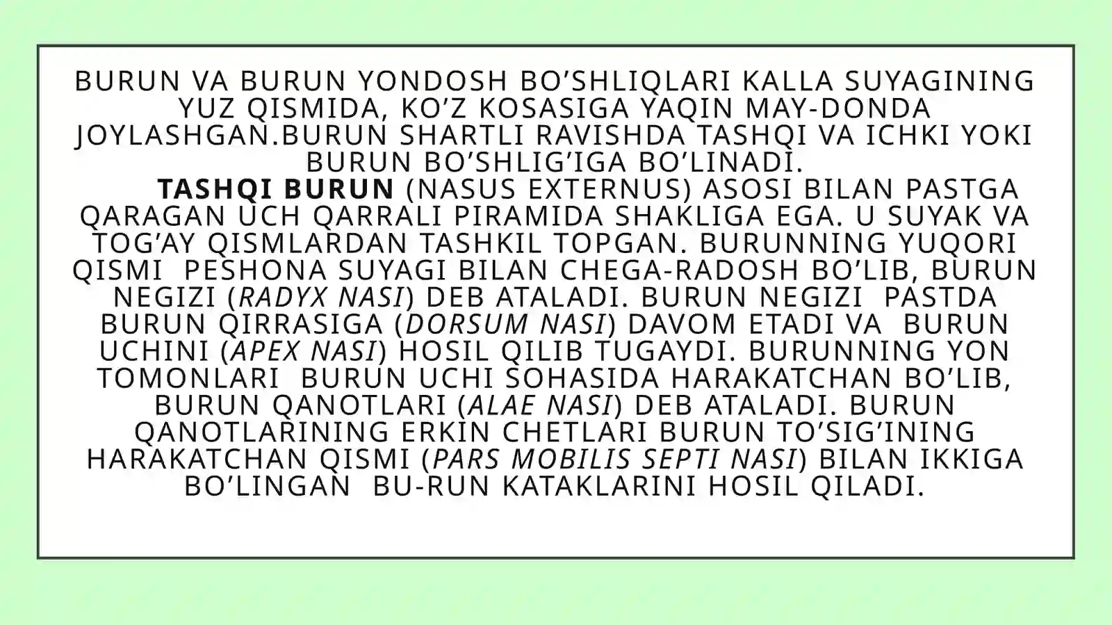 Burun yon bo'shliqlari 2