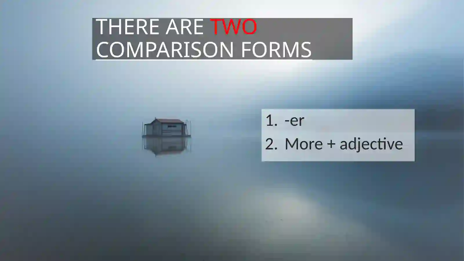 COMPARISON FORM 2