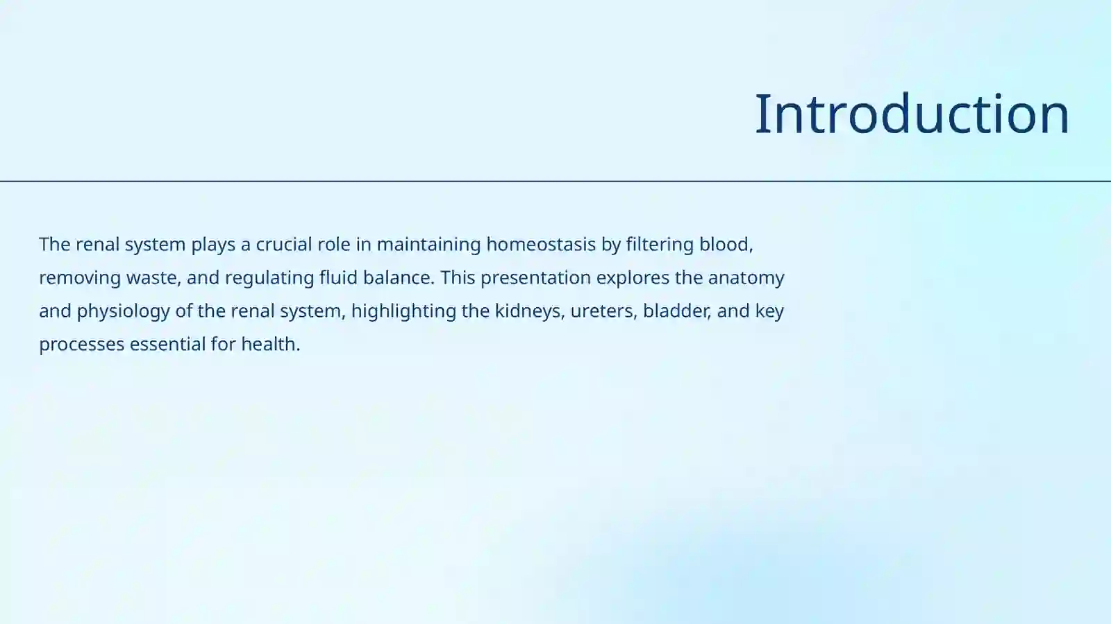 Renal System 2
