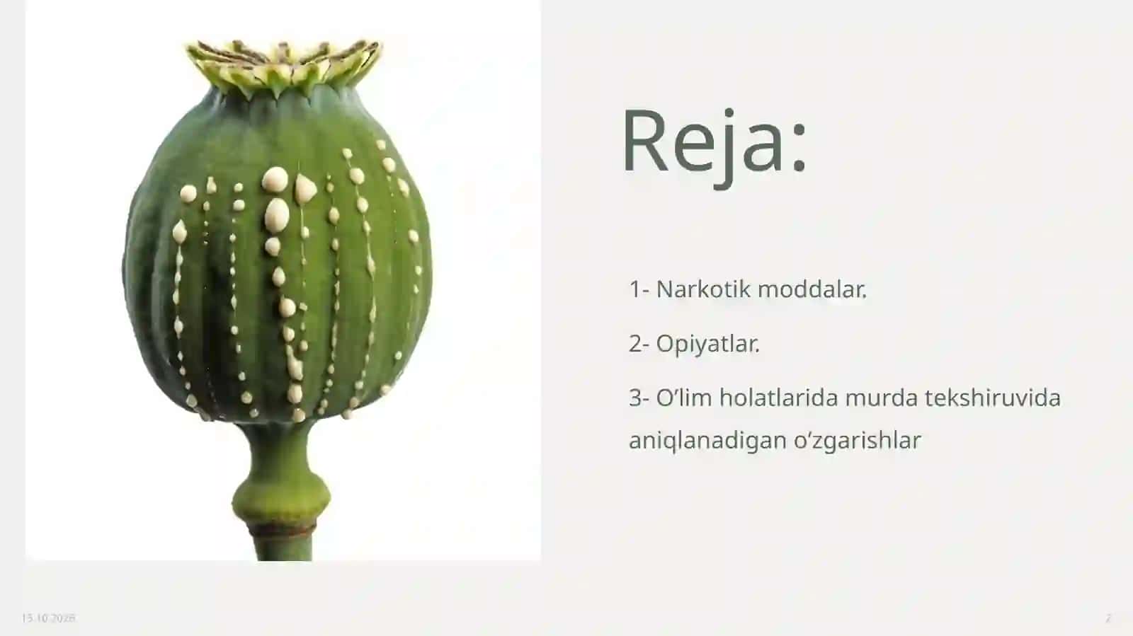 Opiatlar bilan zaharlanish 2