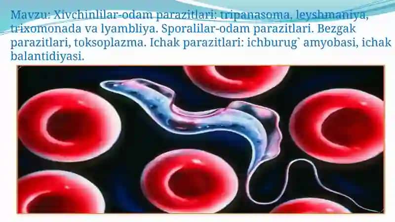 Tibbiy biologiya fanidan 2