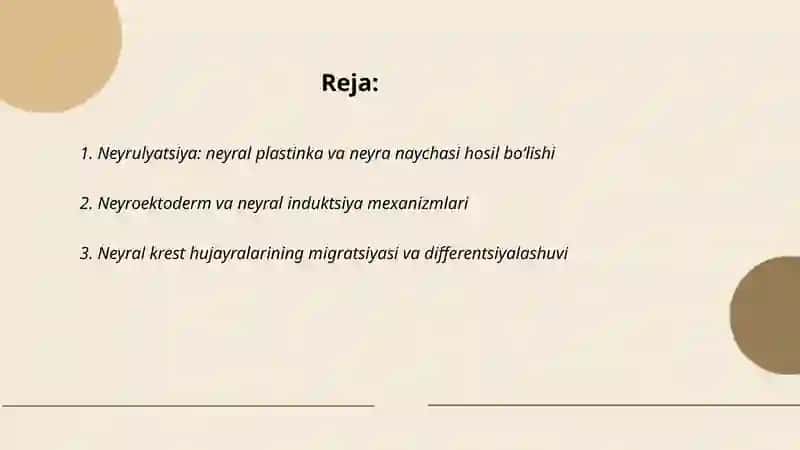 Neyrulyatsiya va neyral plastinka hosil bo‘lishi 2