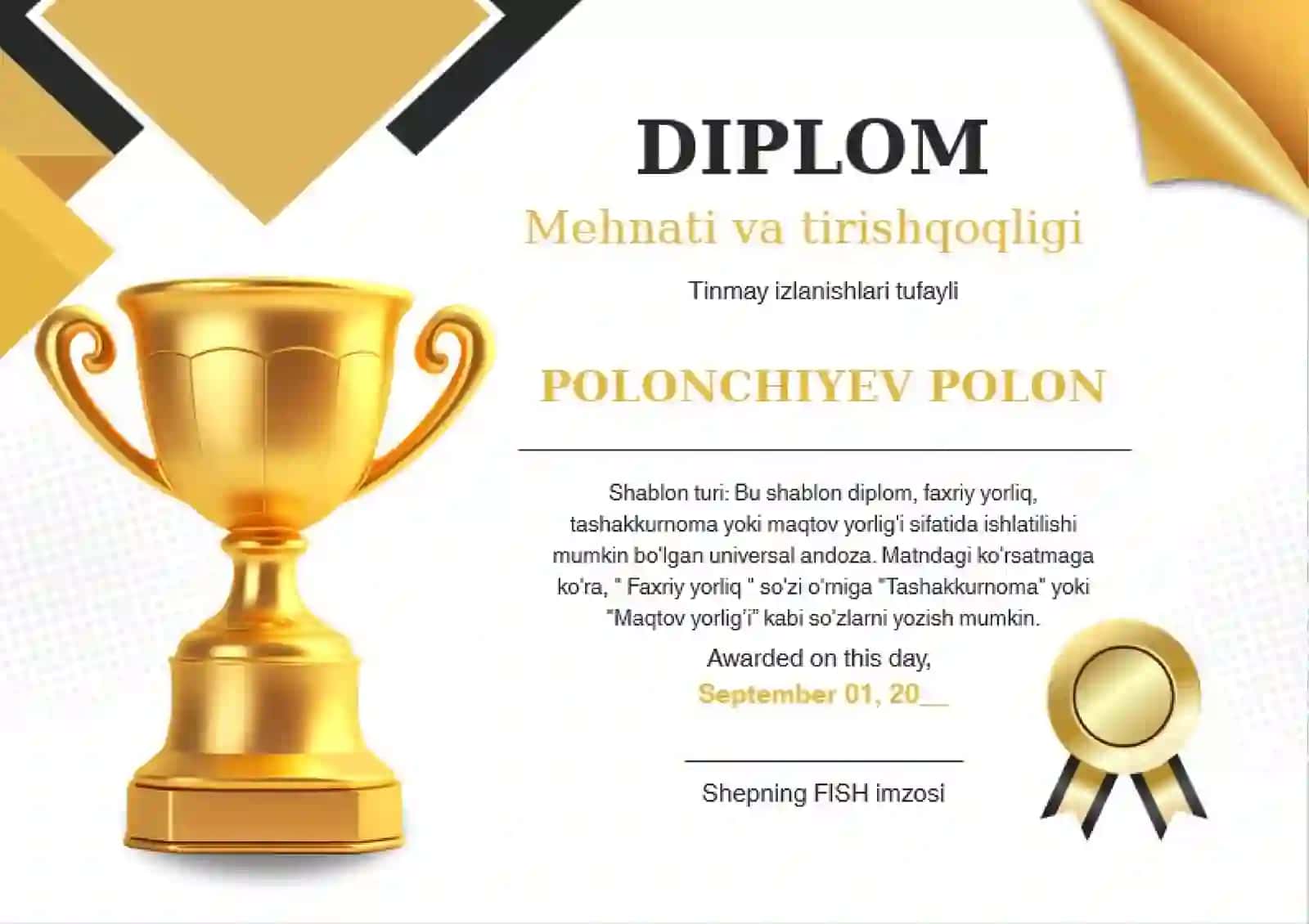 DIPLOM 2