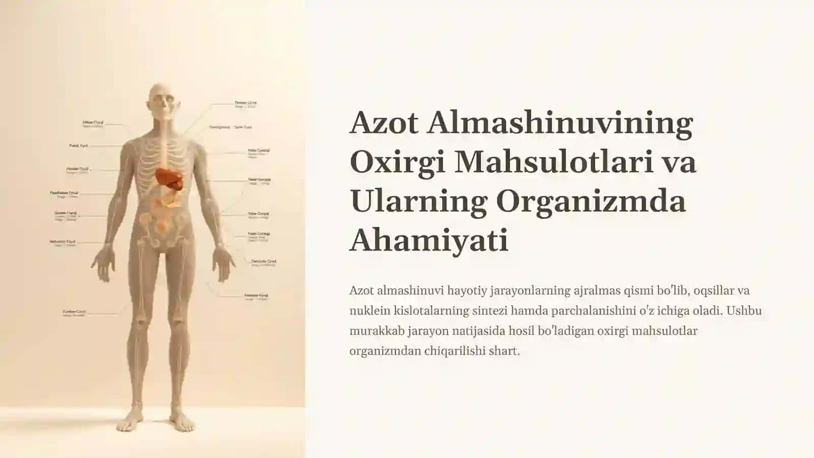 Azot almashinuvining oxirgi maxsulotlari 2