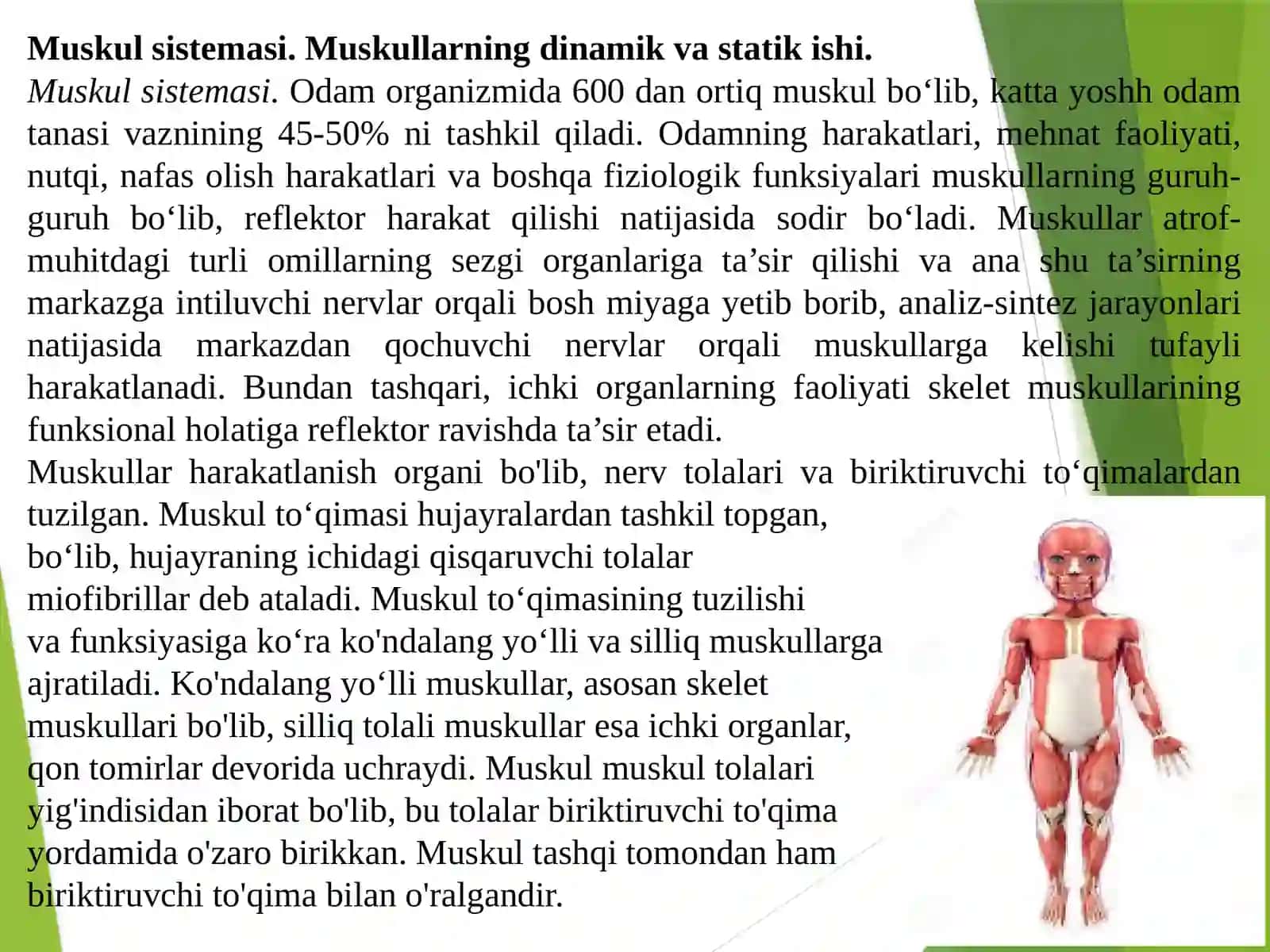 Tayanch-xarakat apparatining yosh xususiyatlari va gigienasi (2-qism) 2