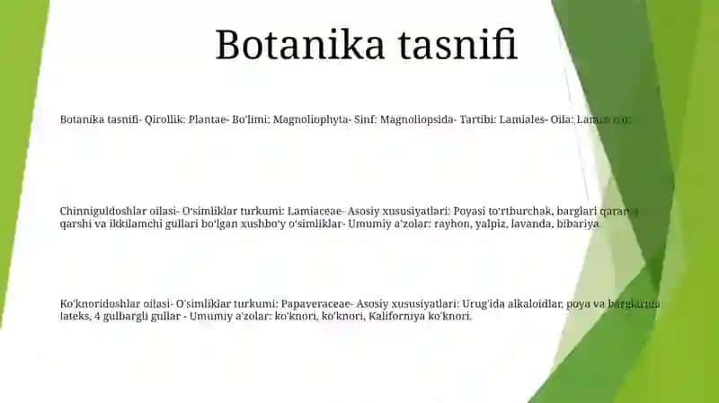 Chinniguldoshlar Oilasi Va Ko'Knoridoshlar Oilasi 2