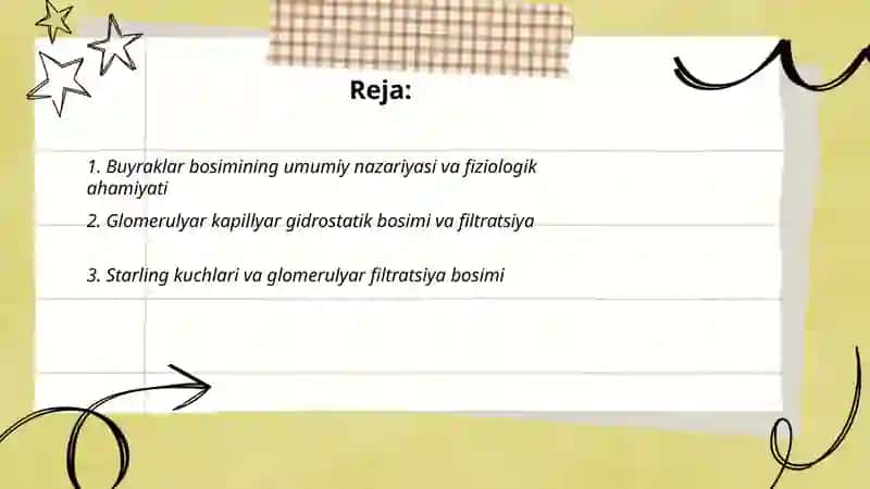 Buyraklar bosimi fiziologiyasi 2