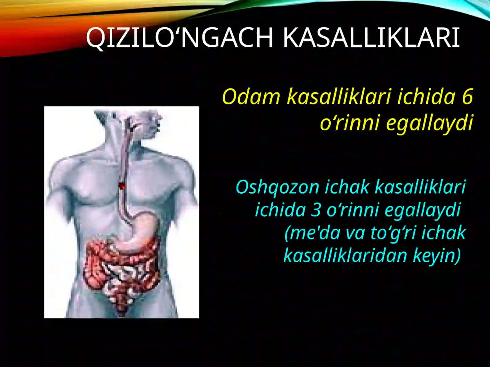 Qizilo’ngach kuyishivayot jism 2