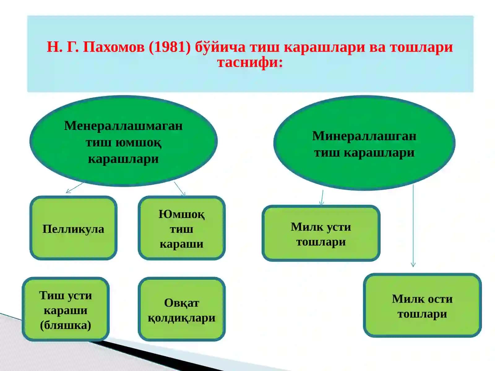 Тишкарашлари ва тошлари таснифи 2