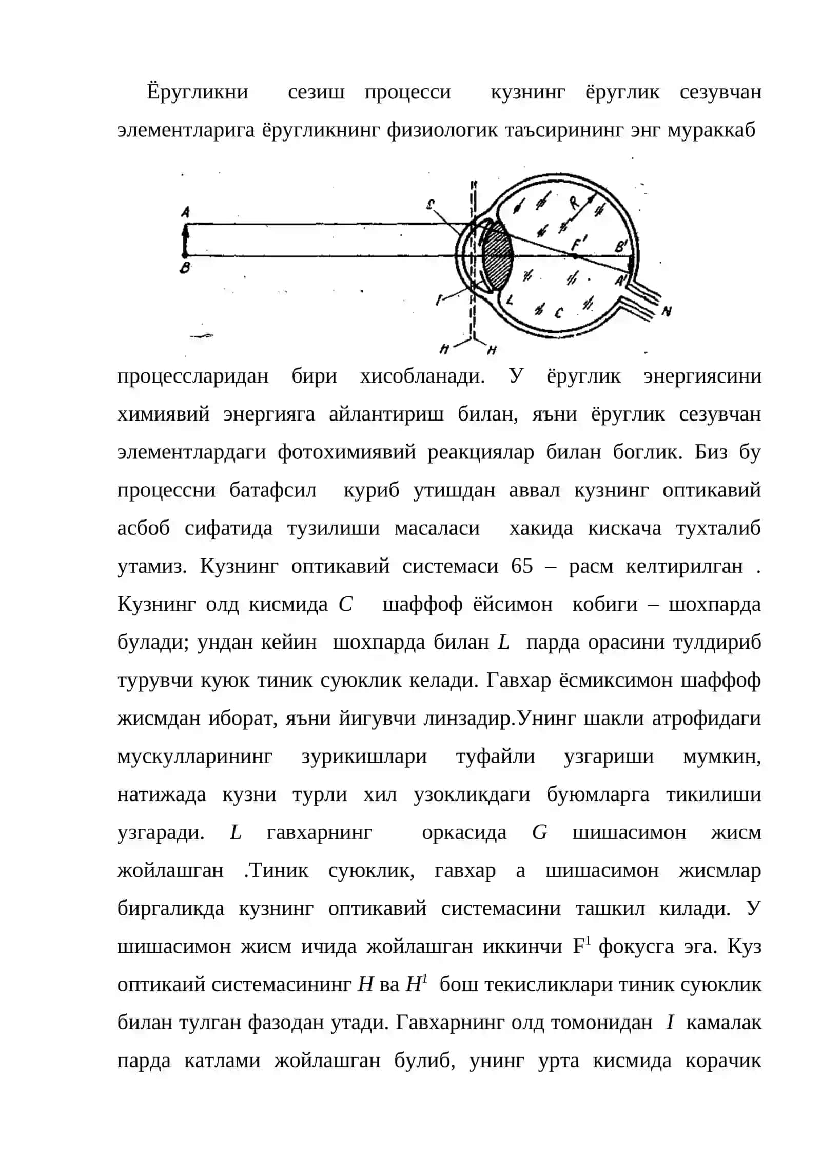 Кўз ва кўриш 2