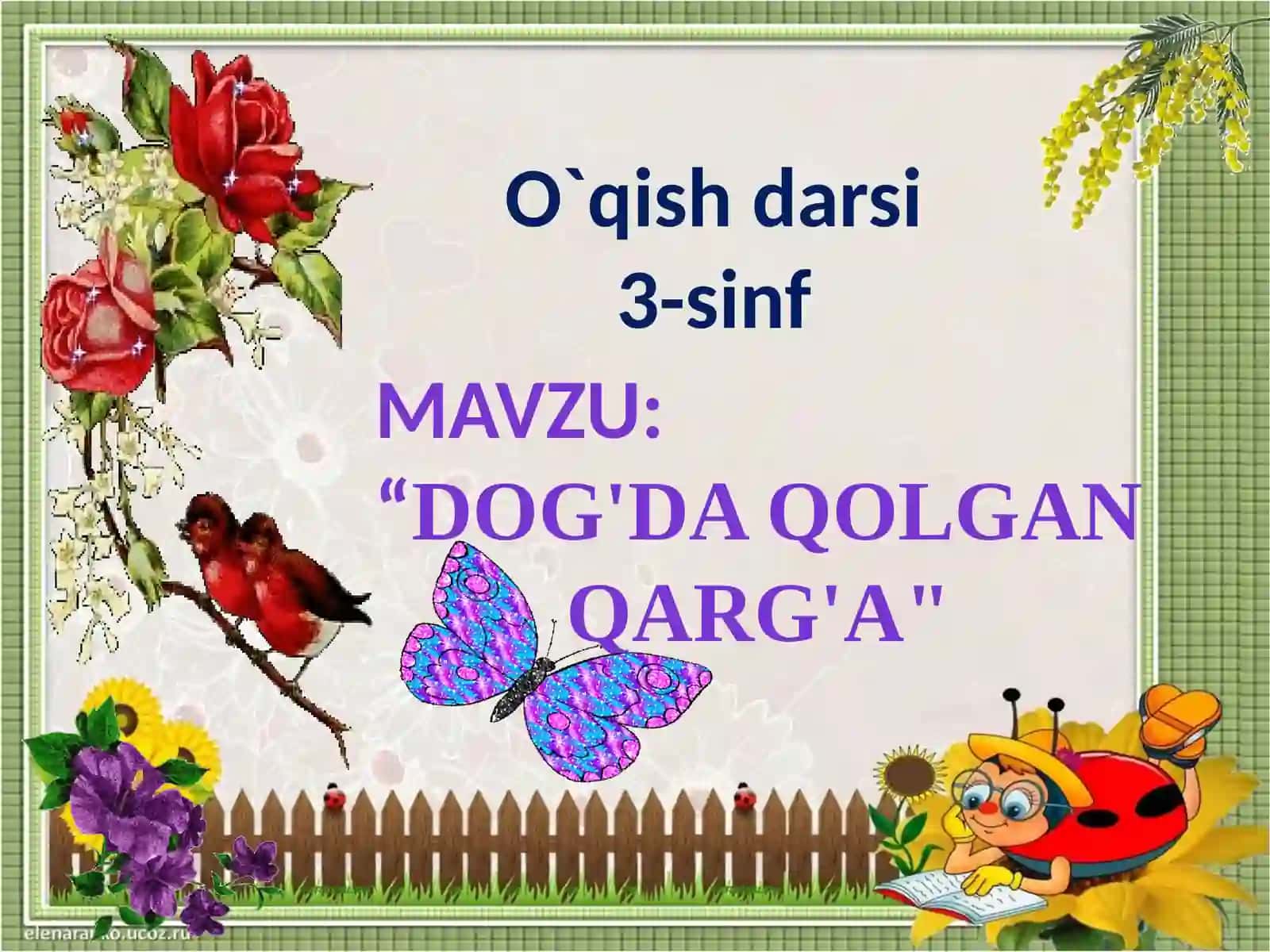 Dog'da Qolgan Qarg'a 2