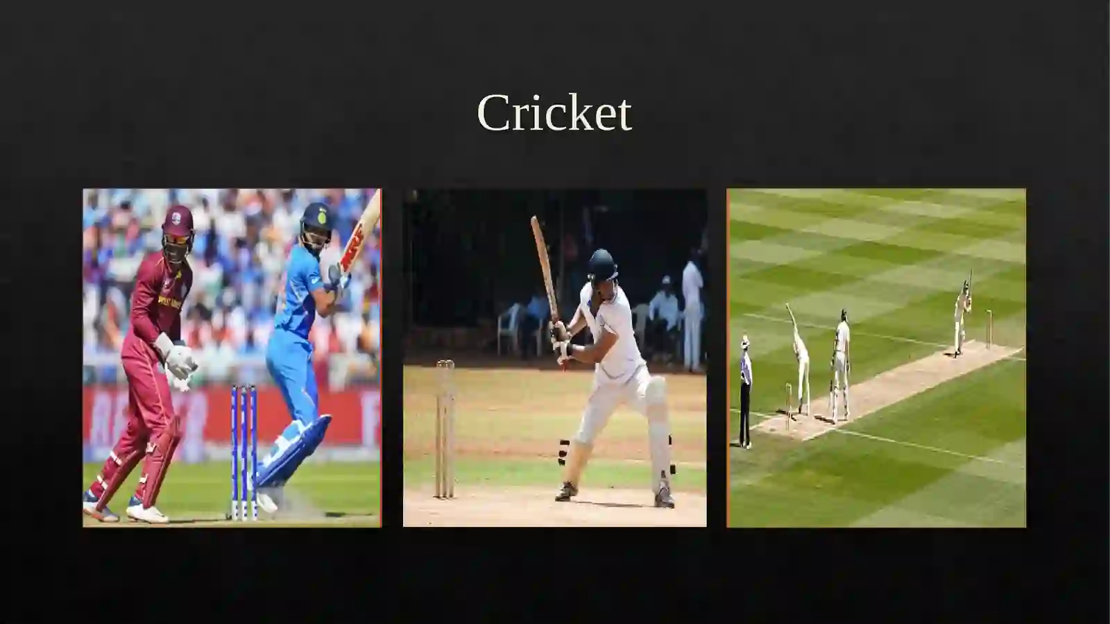 Cricket Game 2