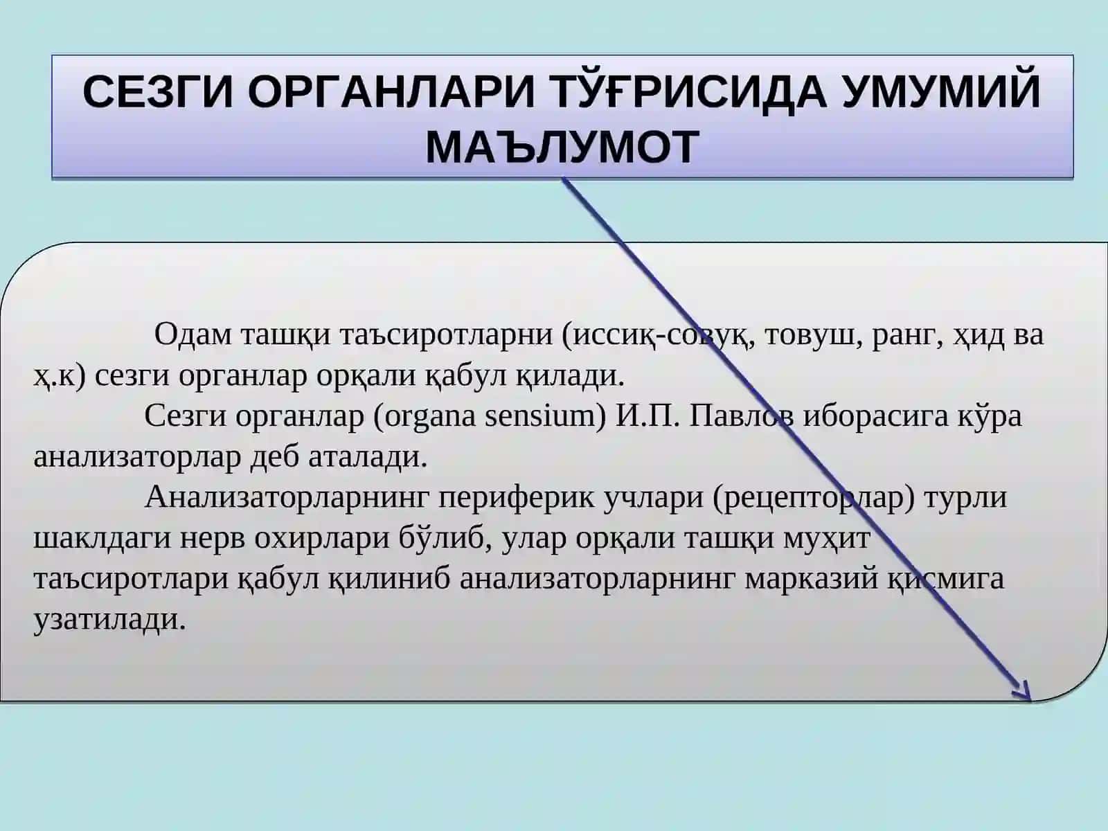 Организмнинг сенсорсистемаси физиологияси 2