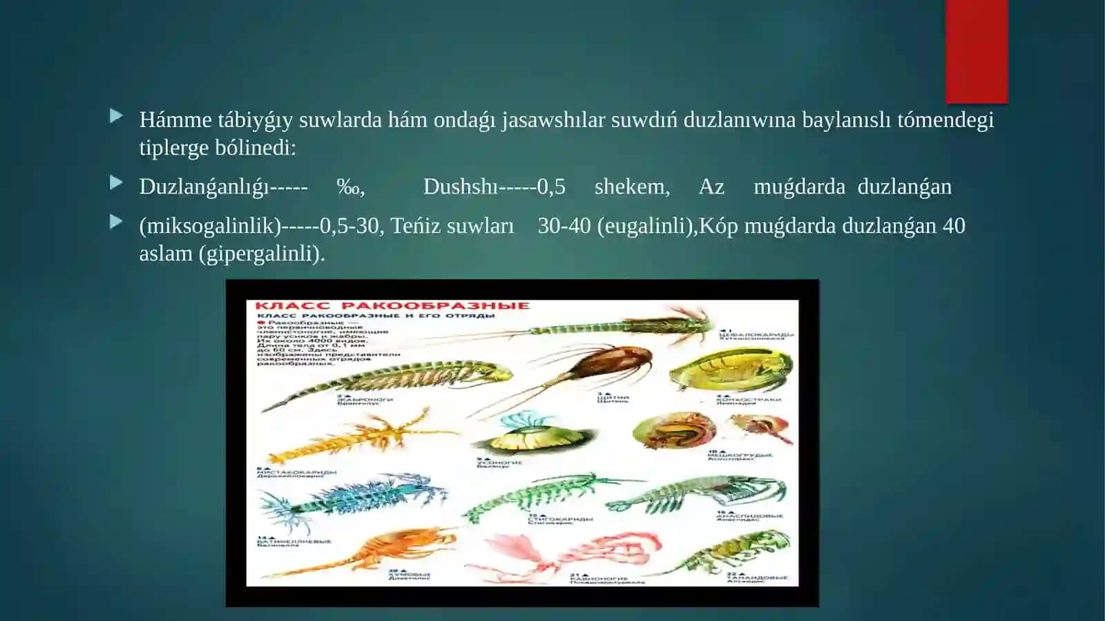 Shayantarizilerdinsuwhawizindekobeyiwi 2