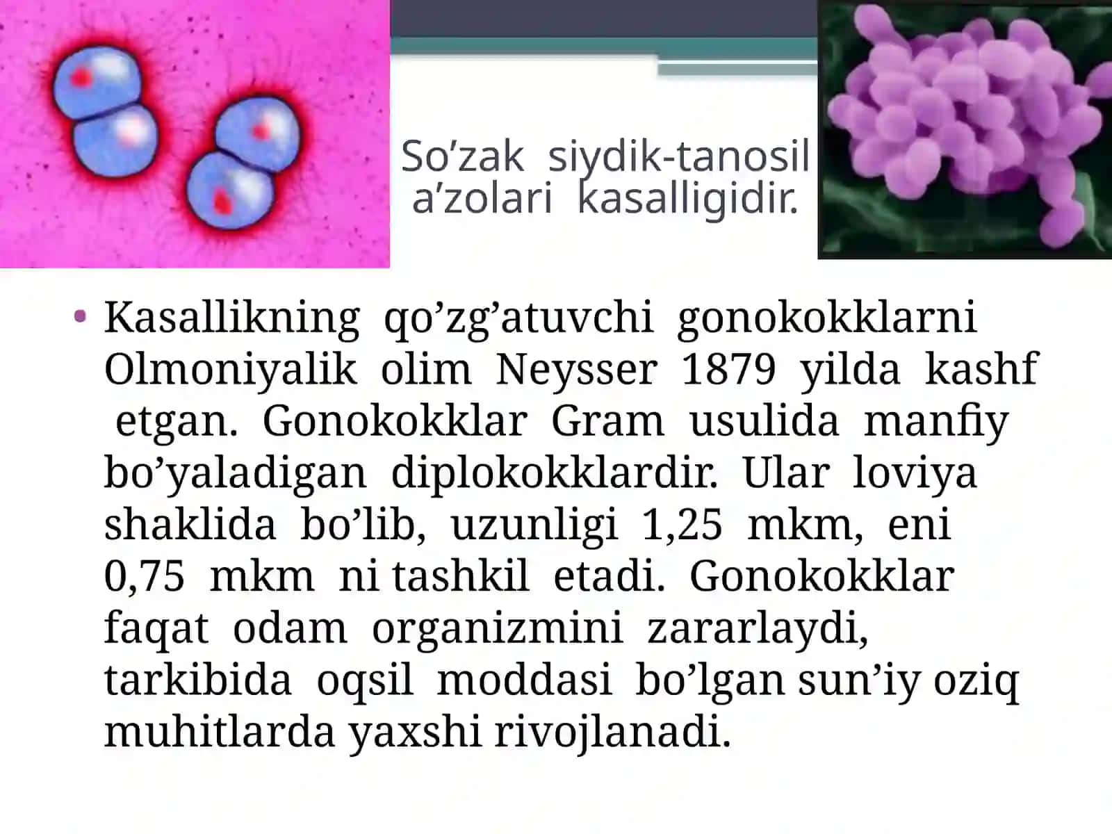 Nospetsifikinfeksiya 2