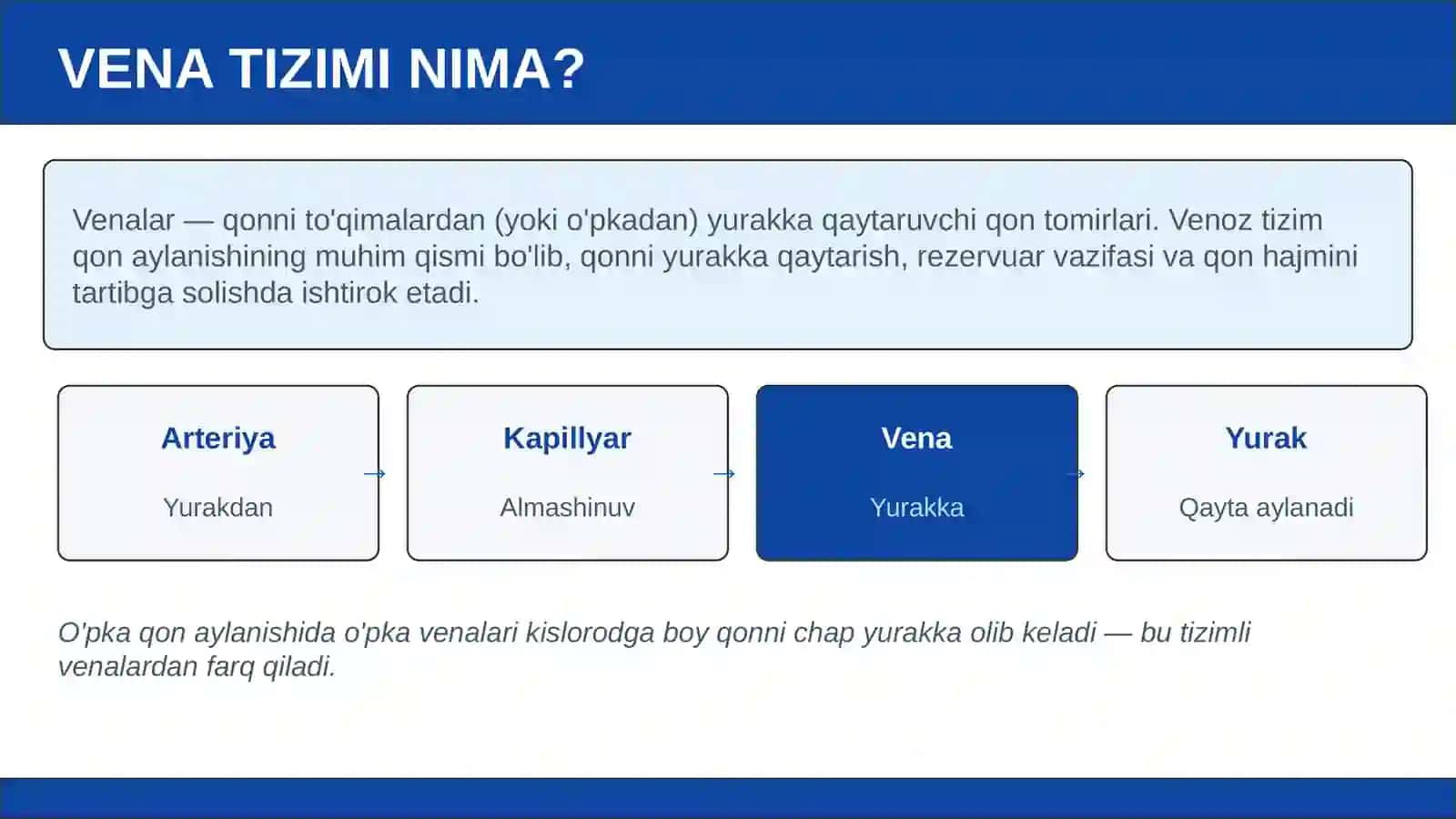 VENA TIZIMINING FUNKSIONAL VA YOSHGA OID ANATOMIYASI 2